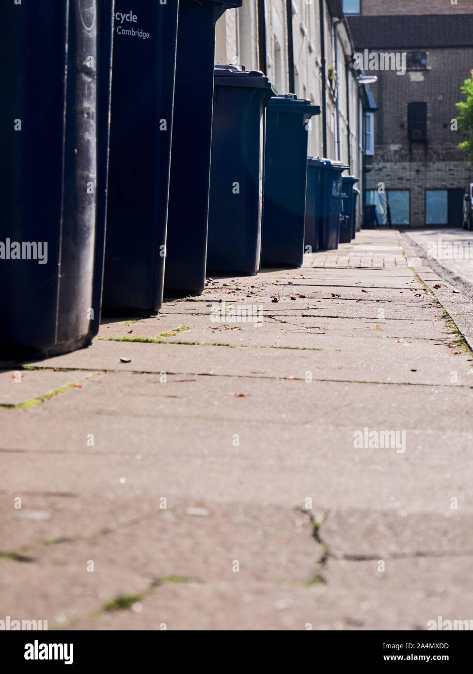 Cambridge, UK October 9, 2019 View of the street with houses and black rubbish bins on the