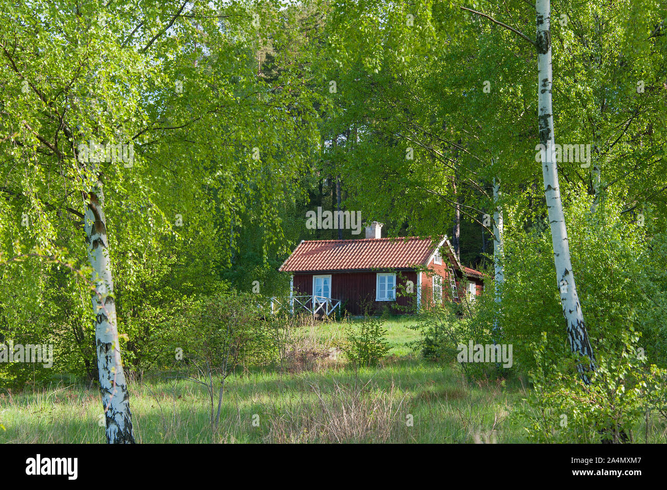 Wooden house among trees Stock Photo
