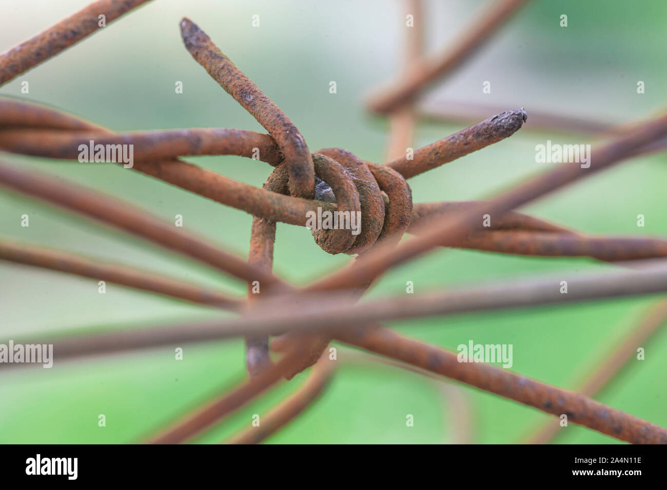 Rusty barbed wire 2 Stock Photo Alamy