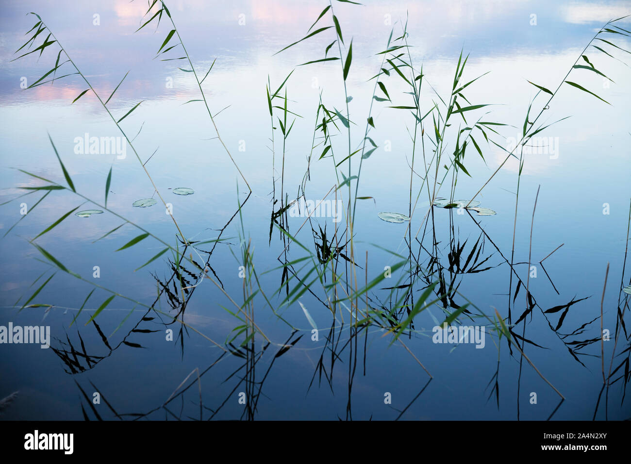 Atmospheric blue water hi-res stock photography and images - Alamy