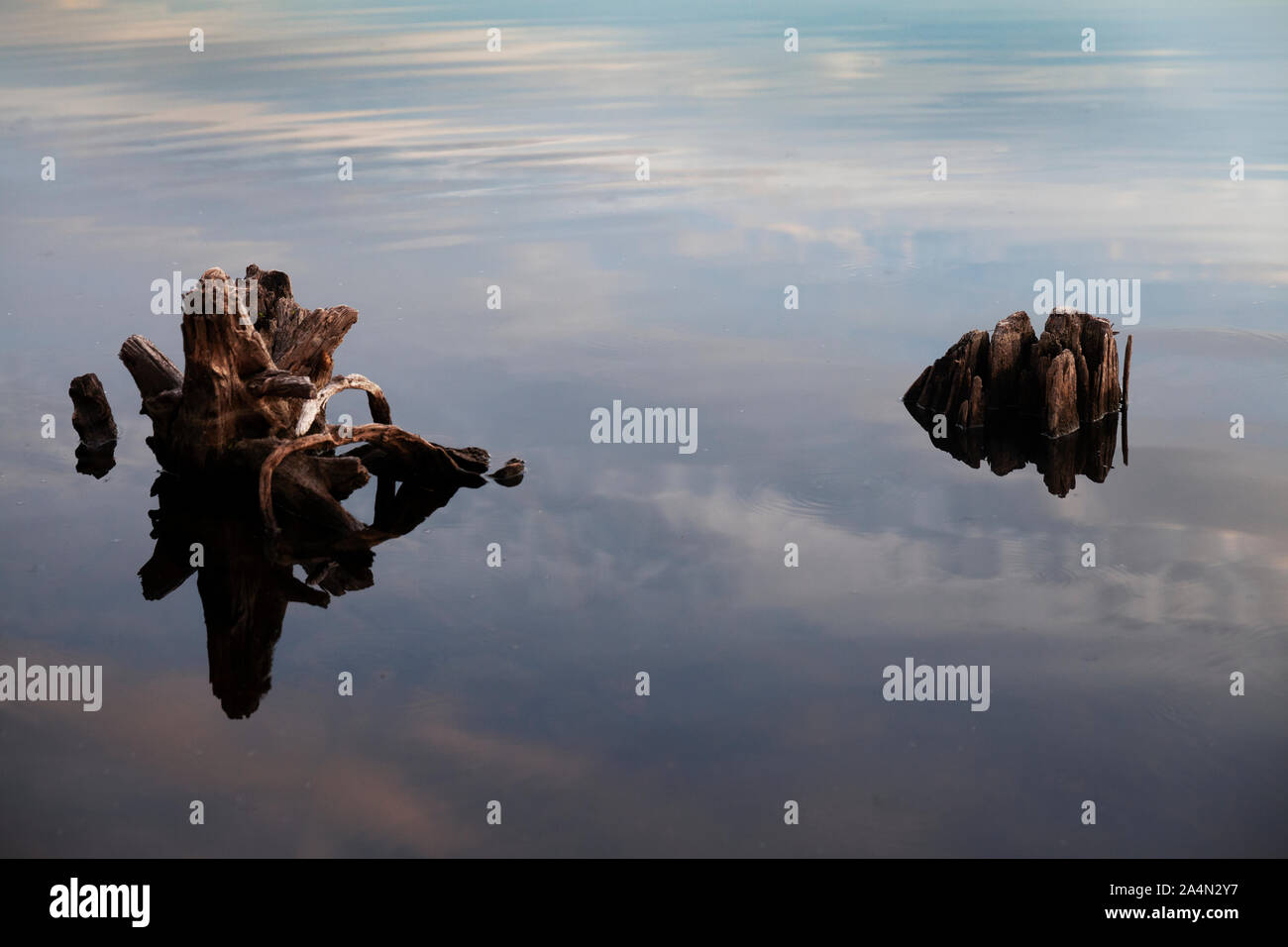 Wood in water Stock Photo Alamy