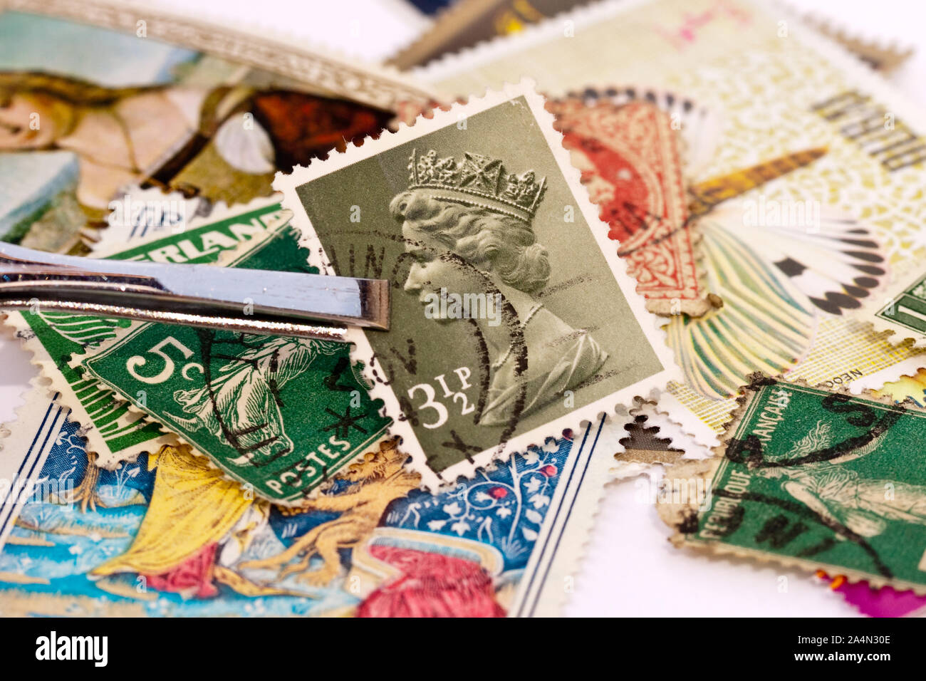 Tweezers holding a UK postage stamp with Queen Elizabeth 2 side portrait. Collections of stamps in the background. Stock Photo