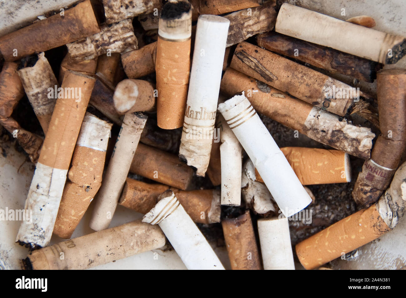 cigarette legislation The UK has approved a new law that will ban anyone born after 2008 from ever buying cigarettes, aiming to create a smoke-free generation. The legislation also gives the government more power cigarette legislation The UK has approved a new law that will ban anyone born after 2008 from ever buying cigarettes, aiming to create a smoke-free generation. The legislation also gives the government more power