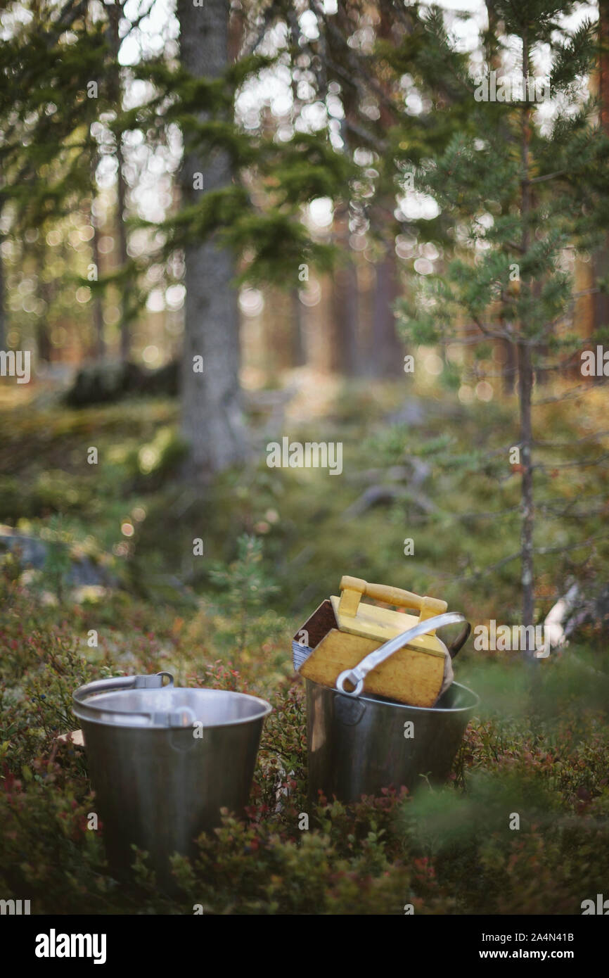 Metal buckets in forest Stock Photo