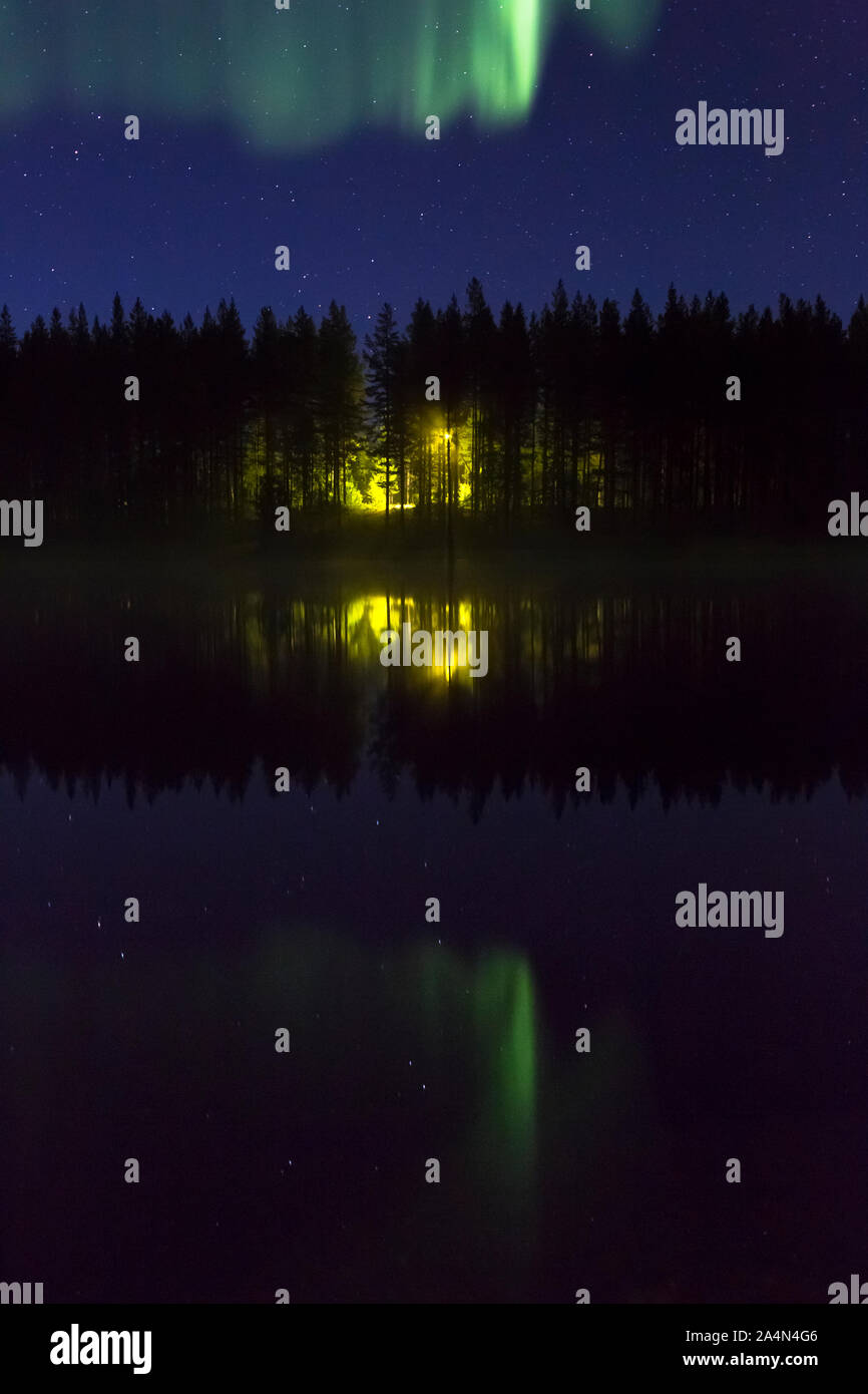 Aurora borealis above forest Stock Photo - Alamy