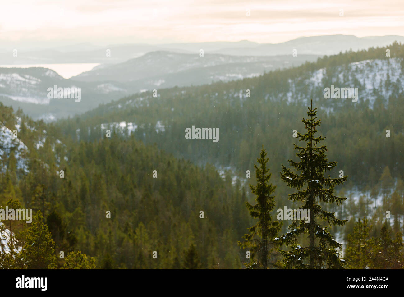 Winter landscape Stock Photo