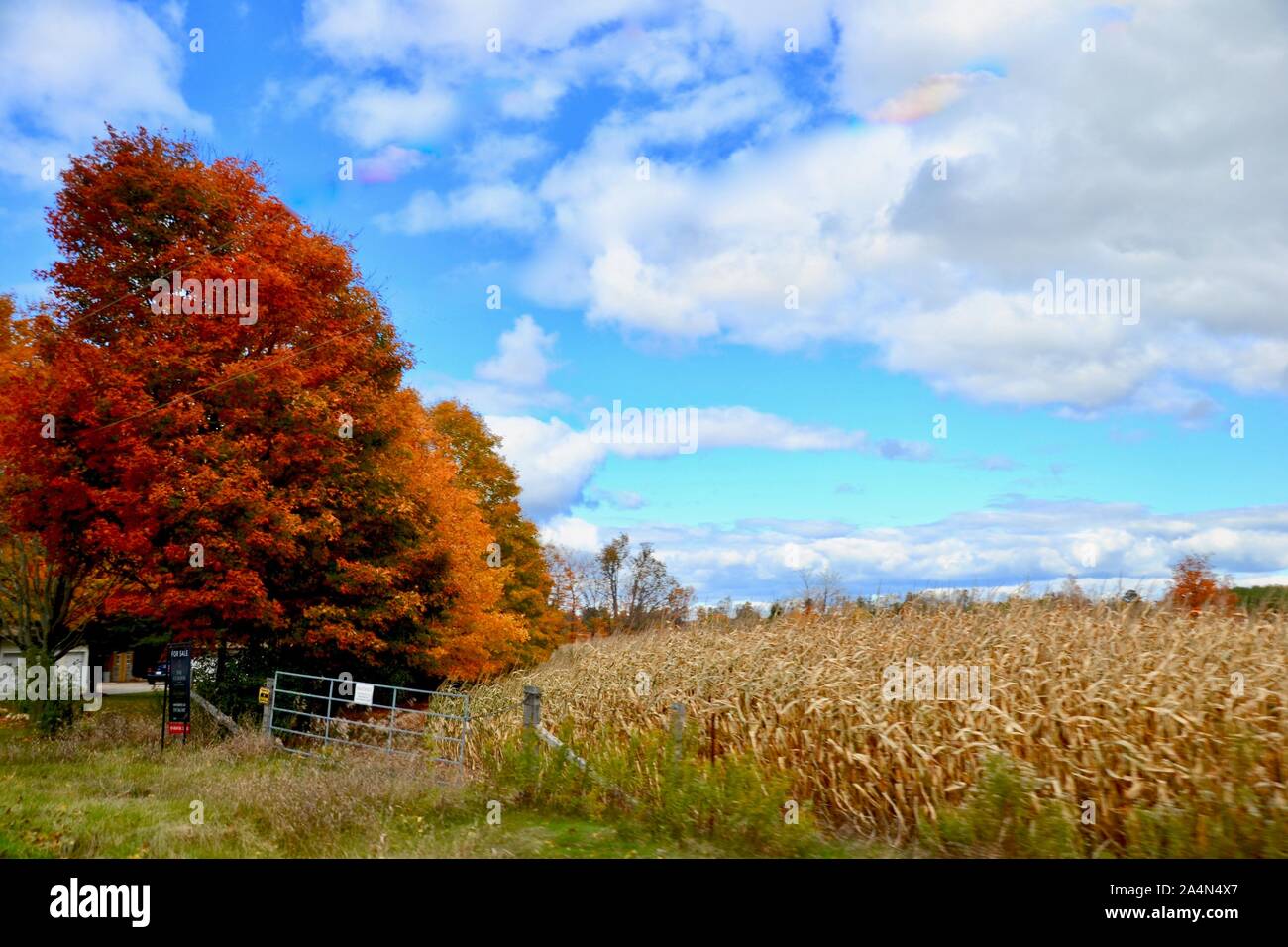 Colourful farm in ontario hi-res stock photography and images - Alamy