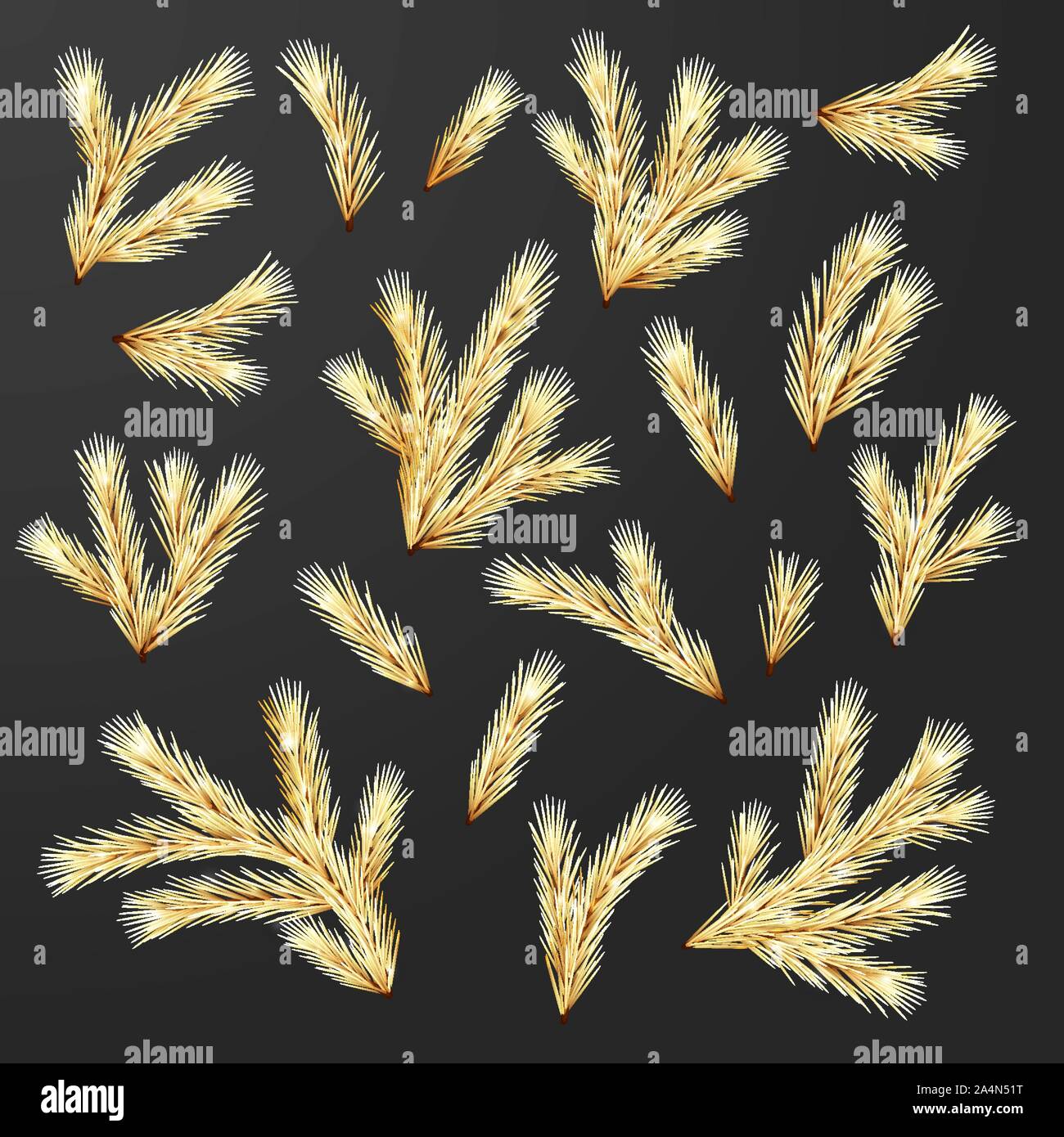 Set of Fir Branches Stock Vector