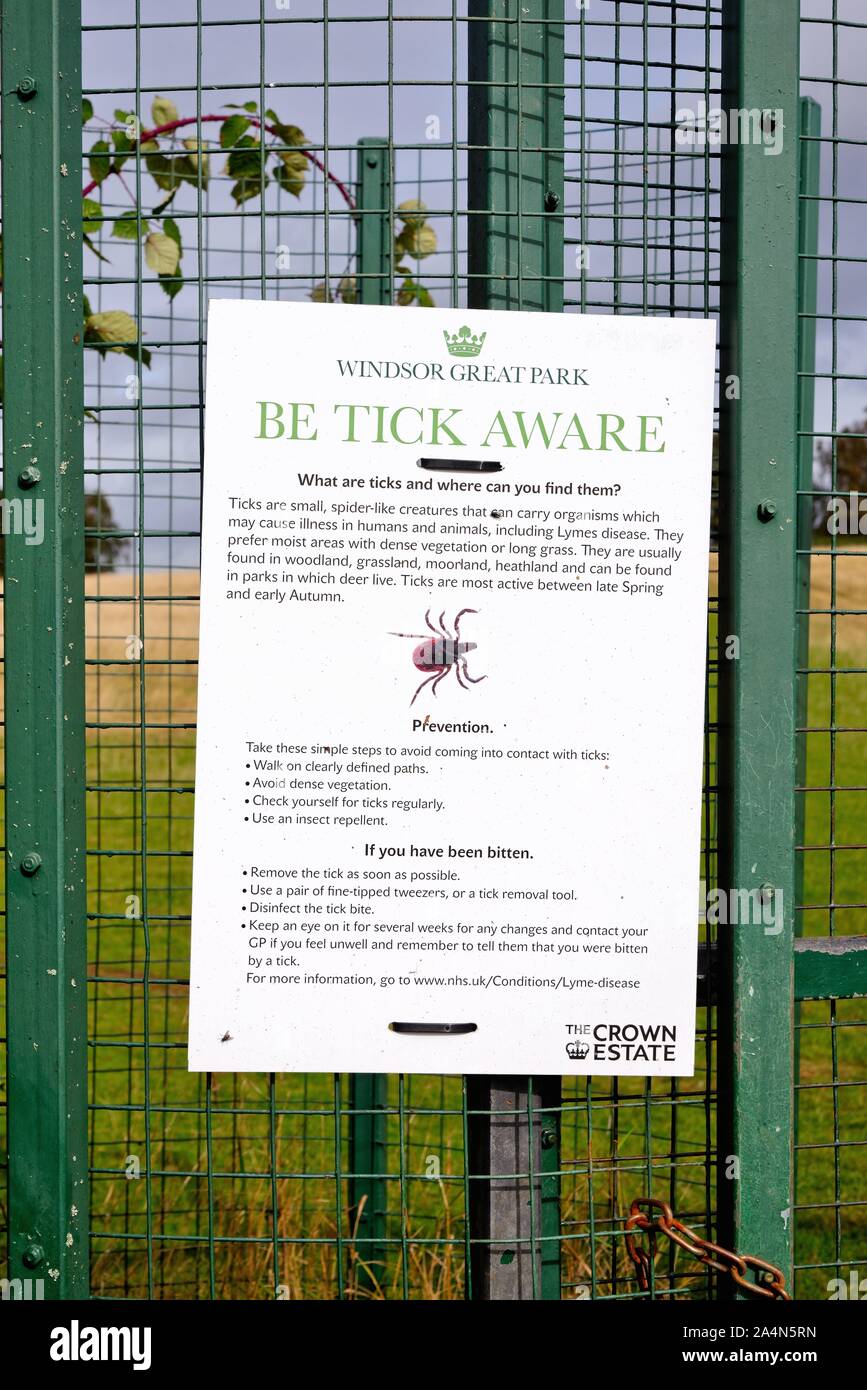 A large poster on a gate in Windsor Great Park warning the public to be aware of the danger of ticks that can occur in the park,Windsor Berkshire UK Stock Photo