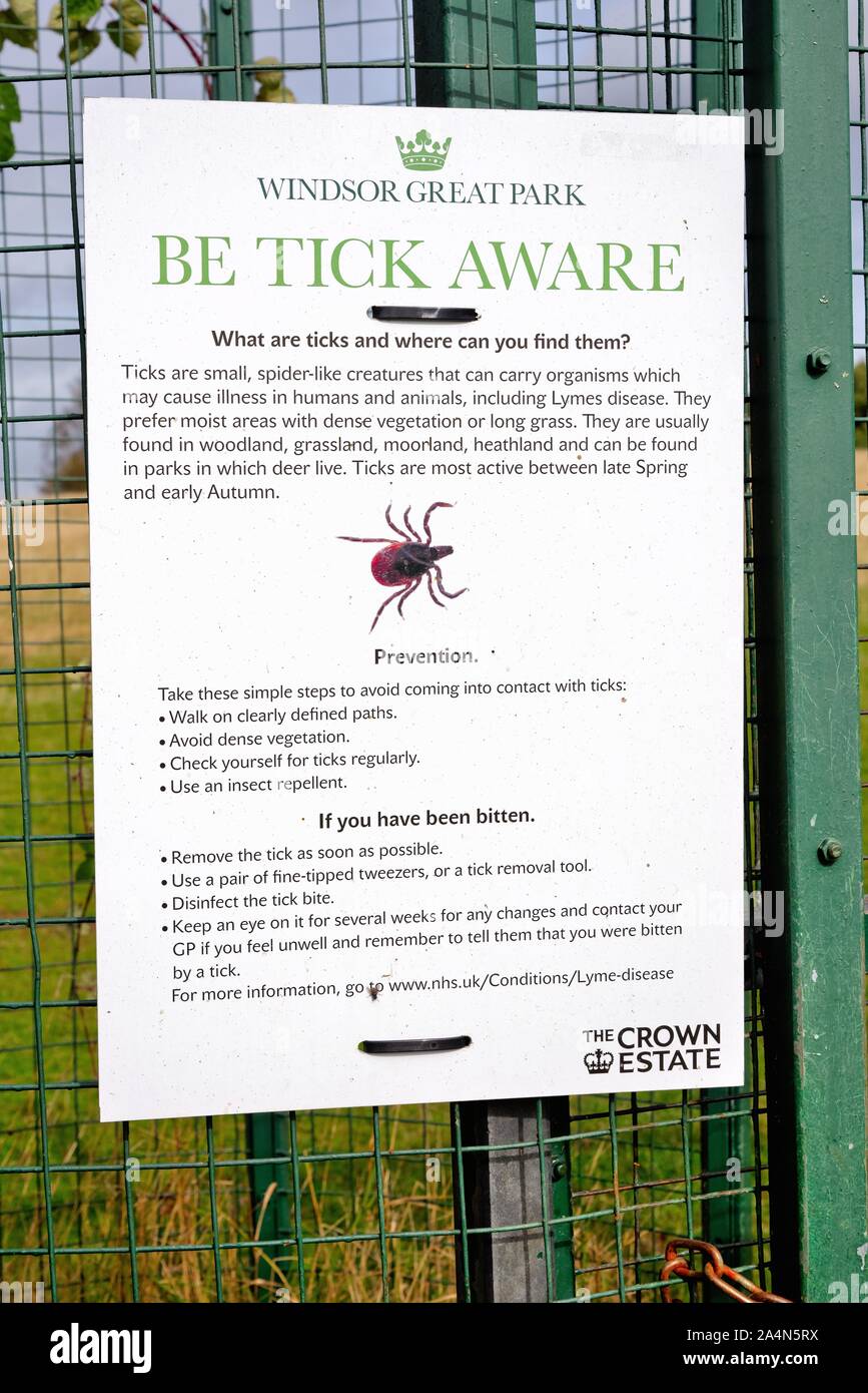 A large poster on a gate in Windsor Great Park warning the public to be aware of the danger of ticks that can occur in the park,Windsor Berkshire UK Stock Photo