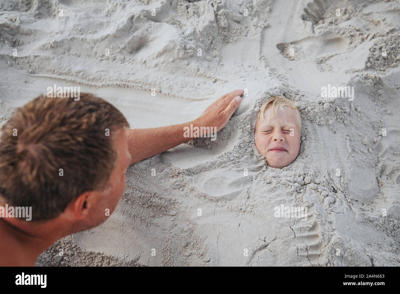 Man with head buried in the sand hires stock photography and images