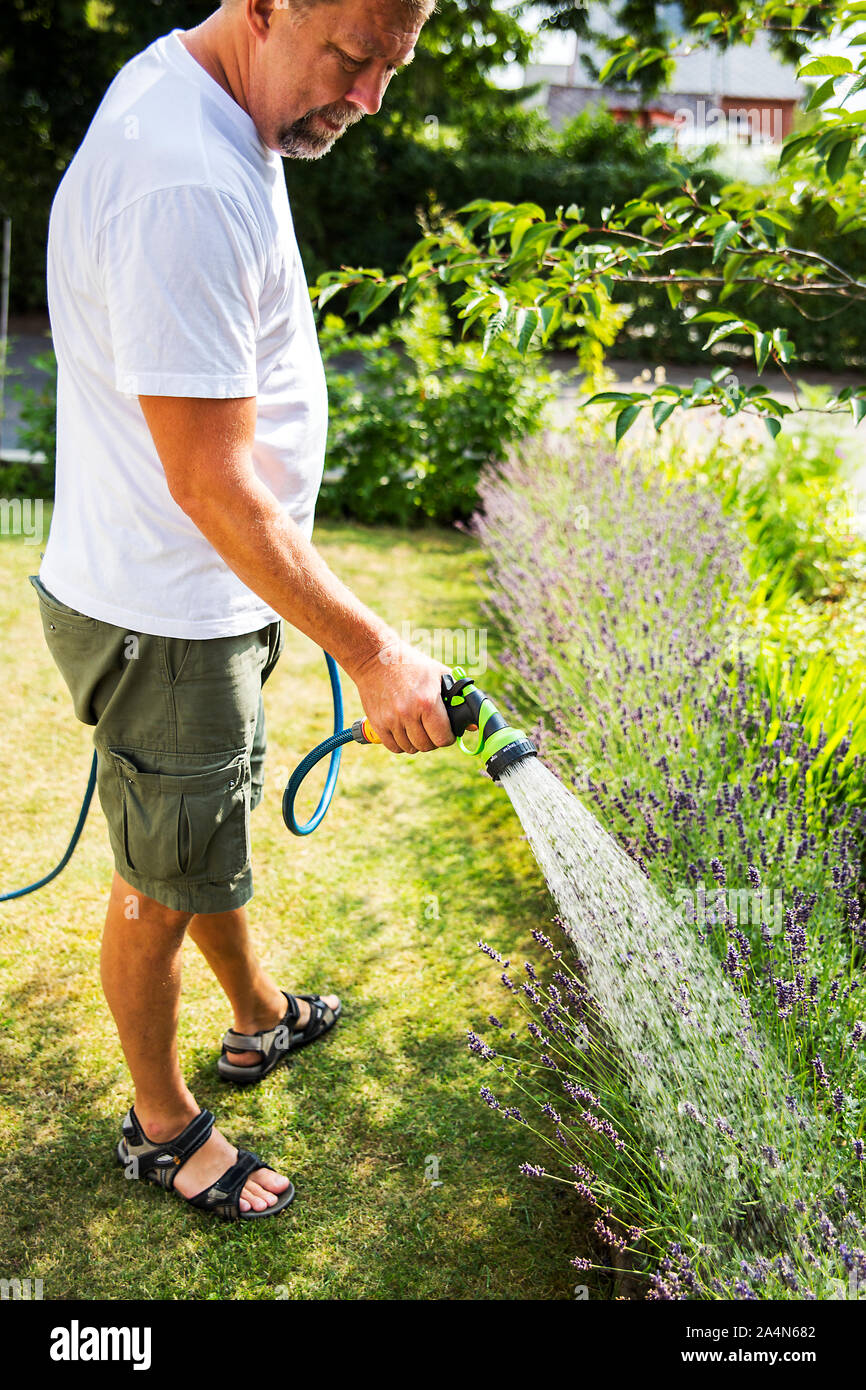 Man watering garden Stock Photo