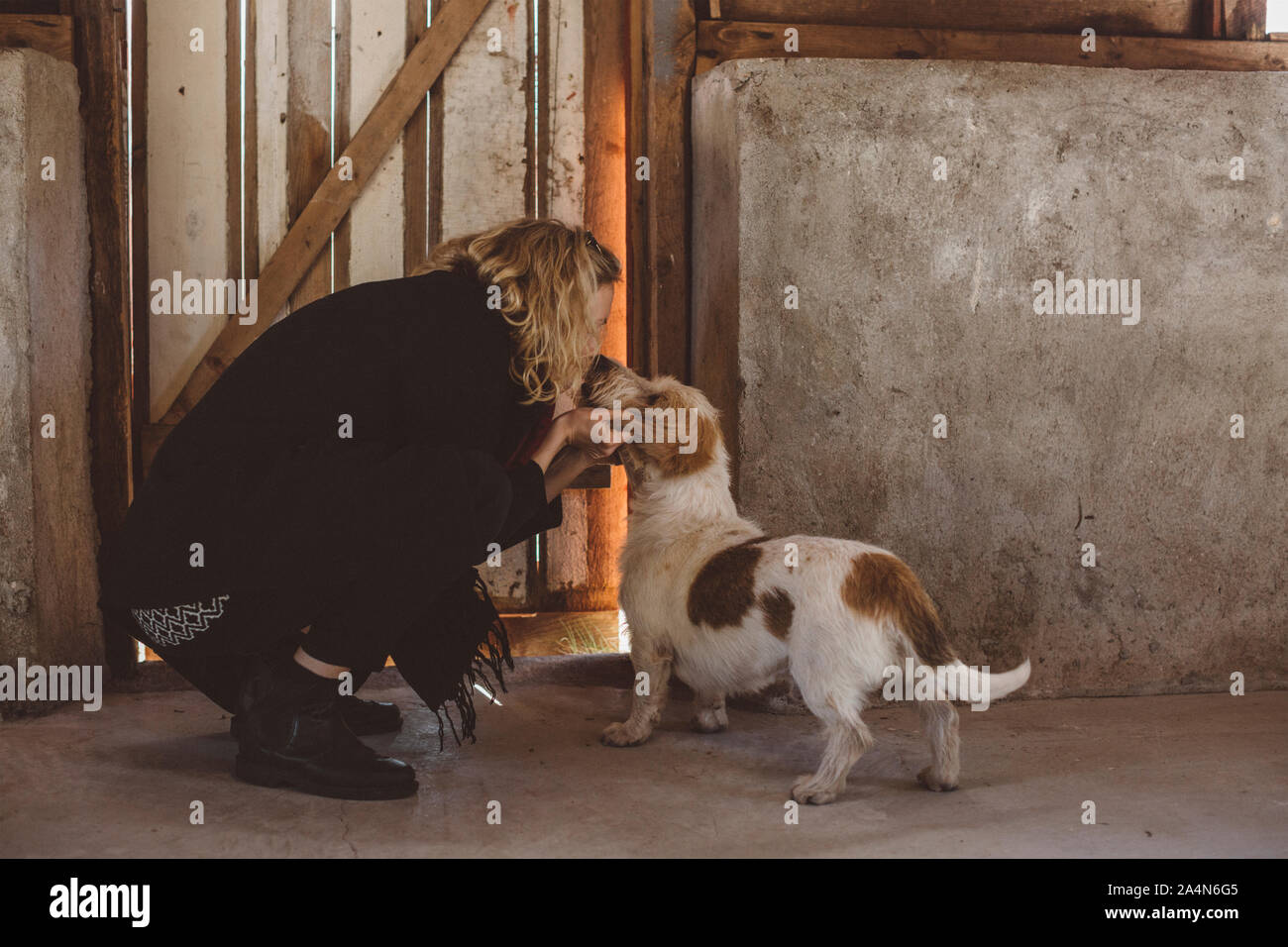 Woman with dog in barn Stock Photo