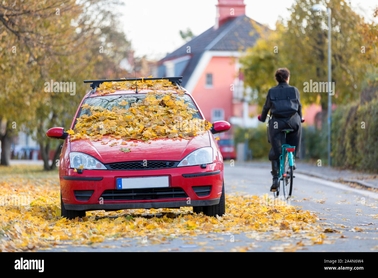 Autumn leaves on car Stock Photo - Alamy