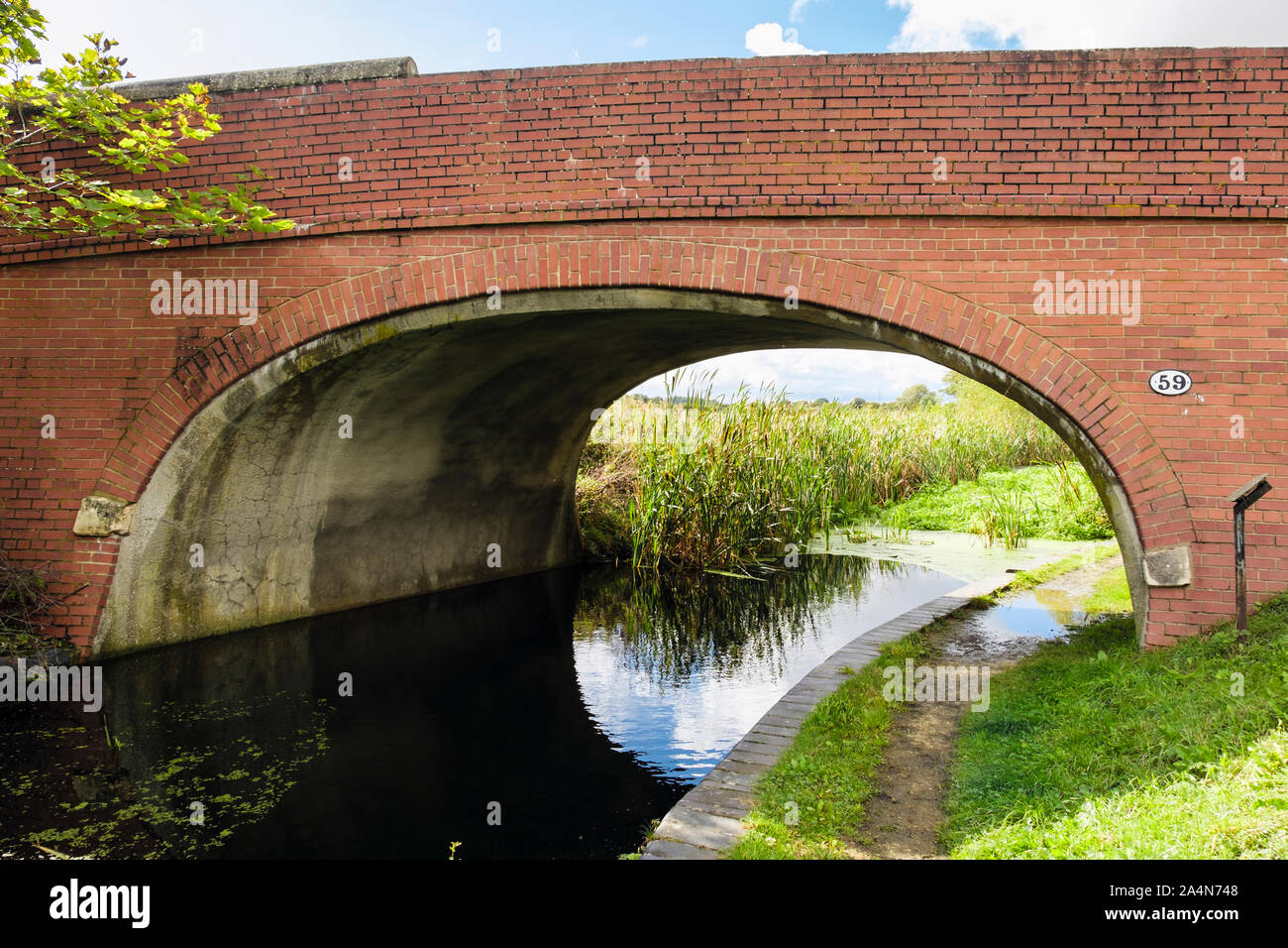 Old arched red brick bridge number 59 across overgrown section of disused rural Grantham Canal. Stenwith, Grantham, Lincolnshire, England, UK, Britain Stock Photo