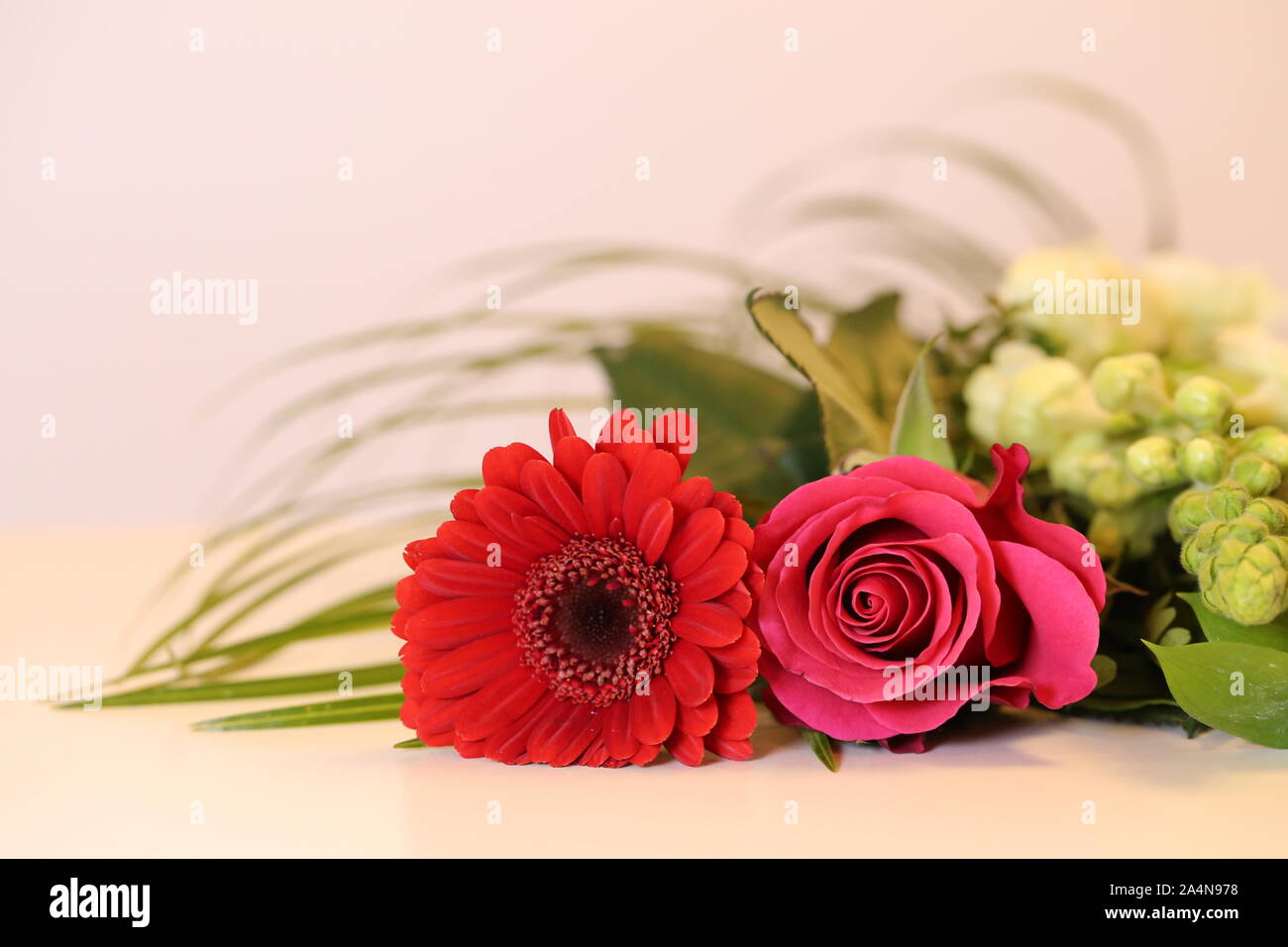 Bouquet of red and while flowers laying on a neutral colored table. Pink  rose, red gerbera, small white flowers and some green leaves. Lovely gift!  Stock Photo - Alamy