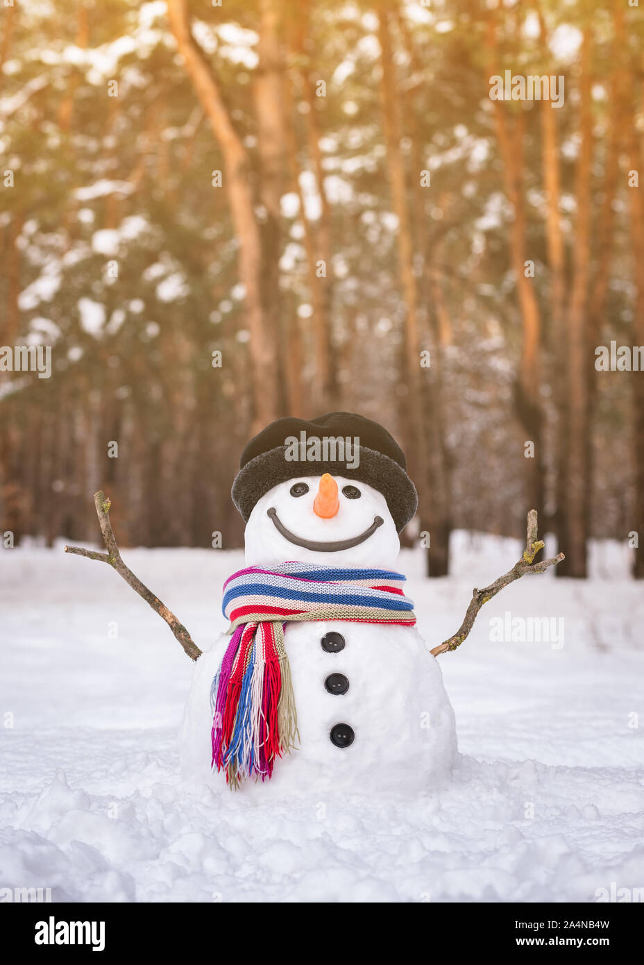 Snowman in a snowy city park. Traditional winter fun for children in nature Stock Photo