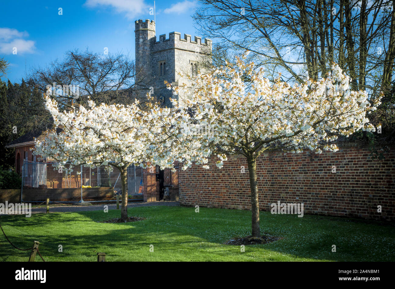 Farningham village Blossom Stock Photo