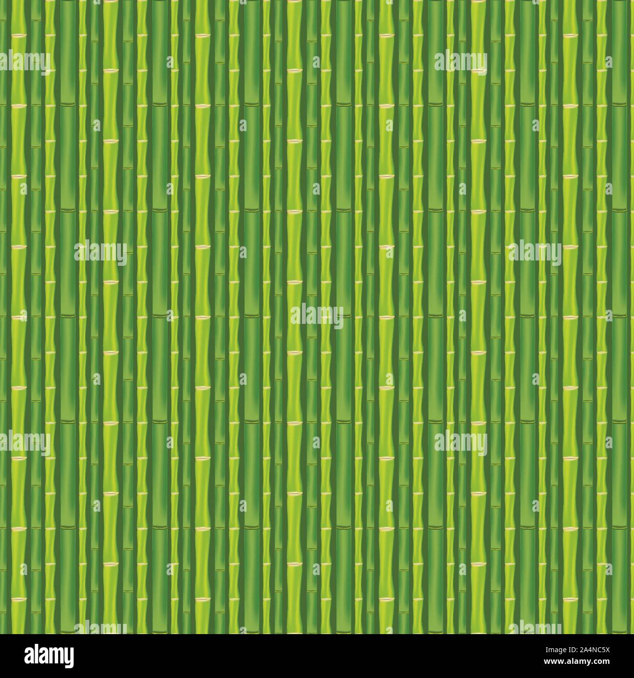 Asian jungle plant bamboo stems pattern design background Stock Vector ...