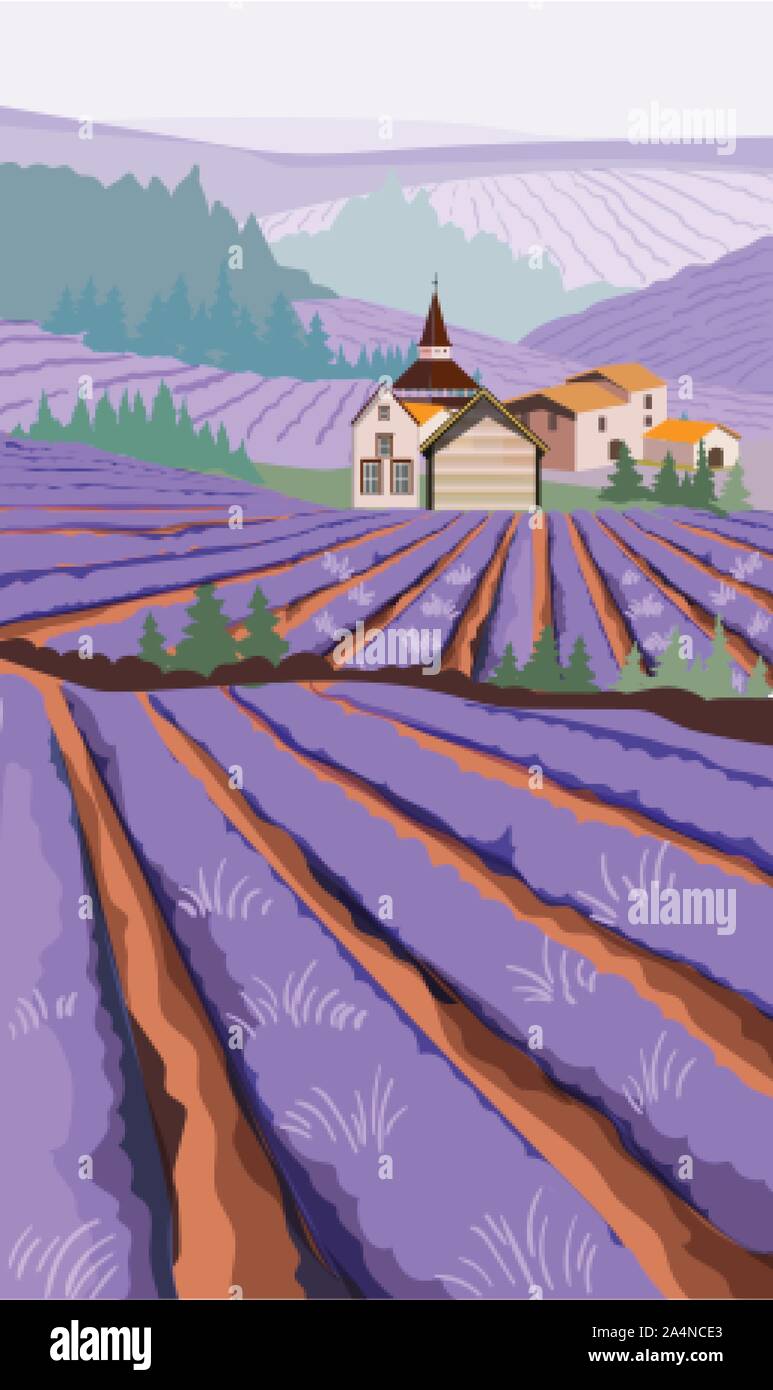 Lavender field with meadow fields and village houses on background. Cartoon flat style vector Stock Vector