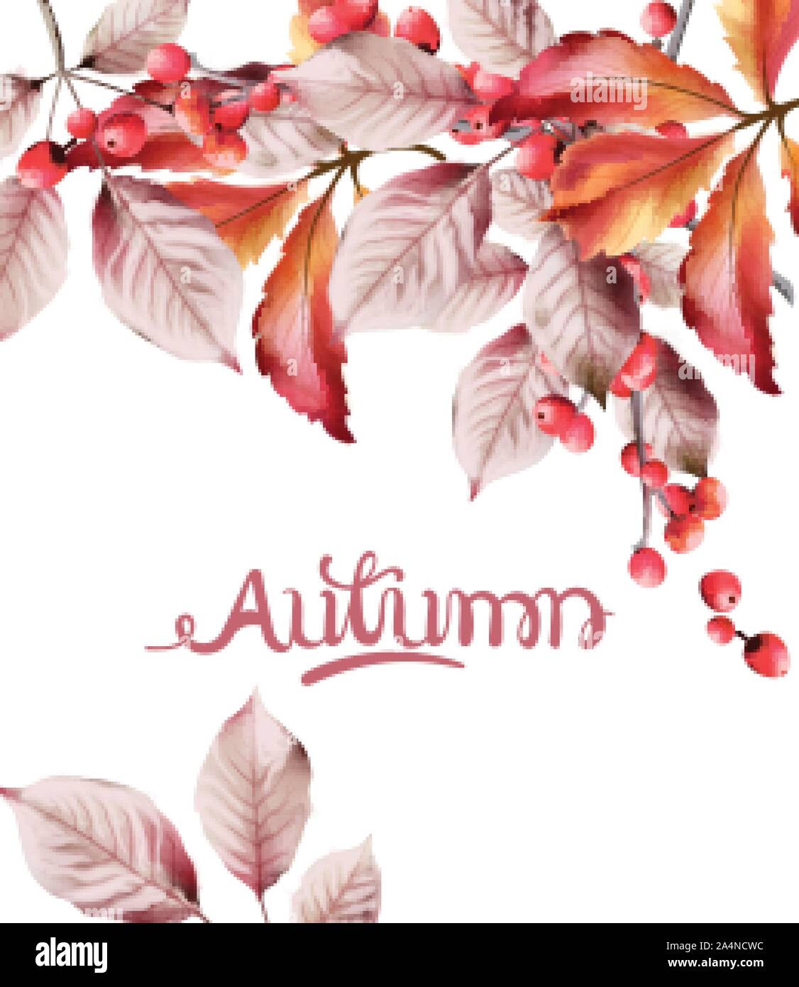 Watercolor autumn leaves and red berries bouquet background vector ...