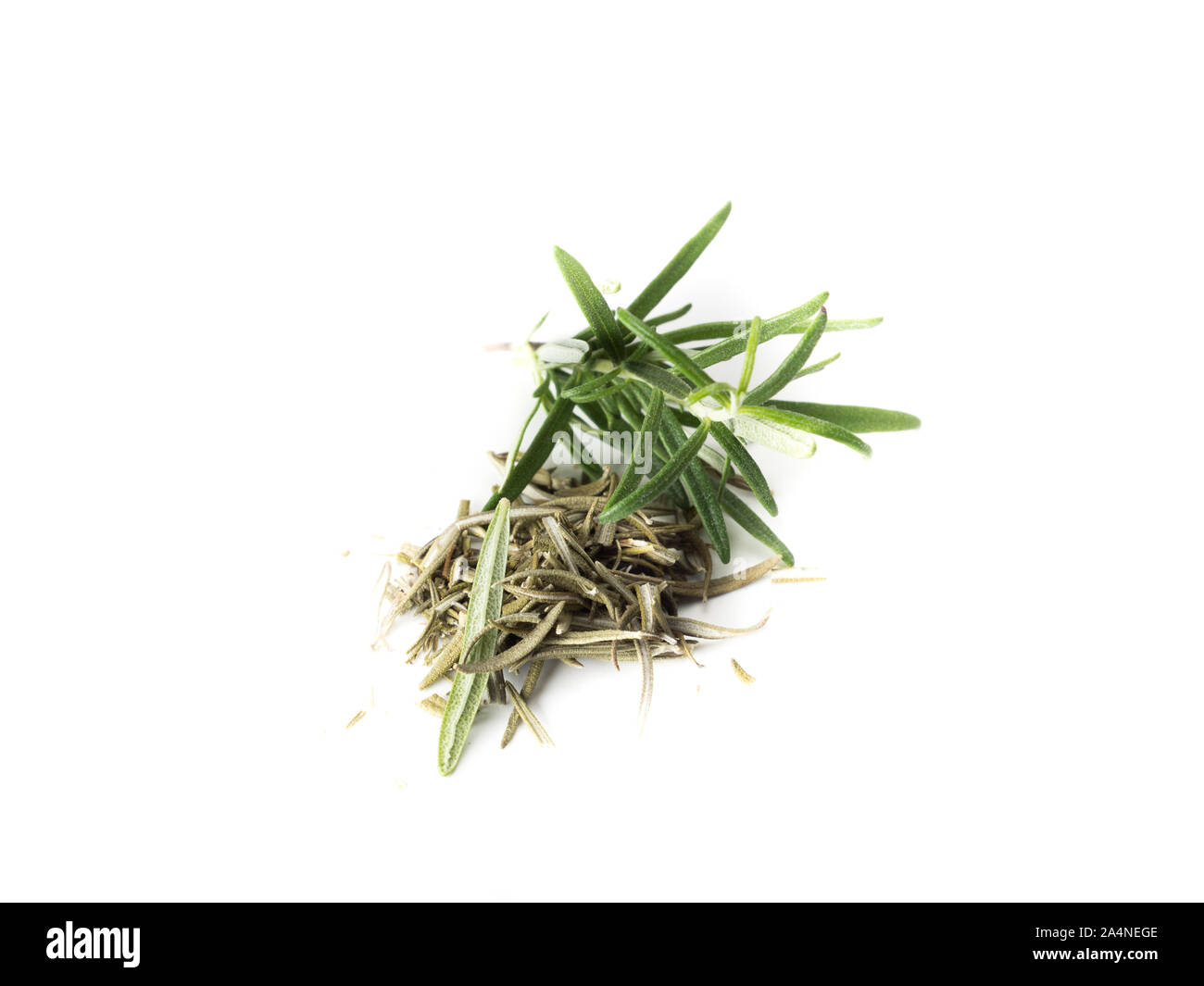 Rosemary isolated on White Background Stock Photo