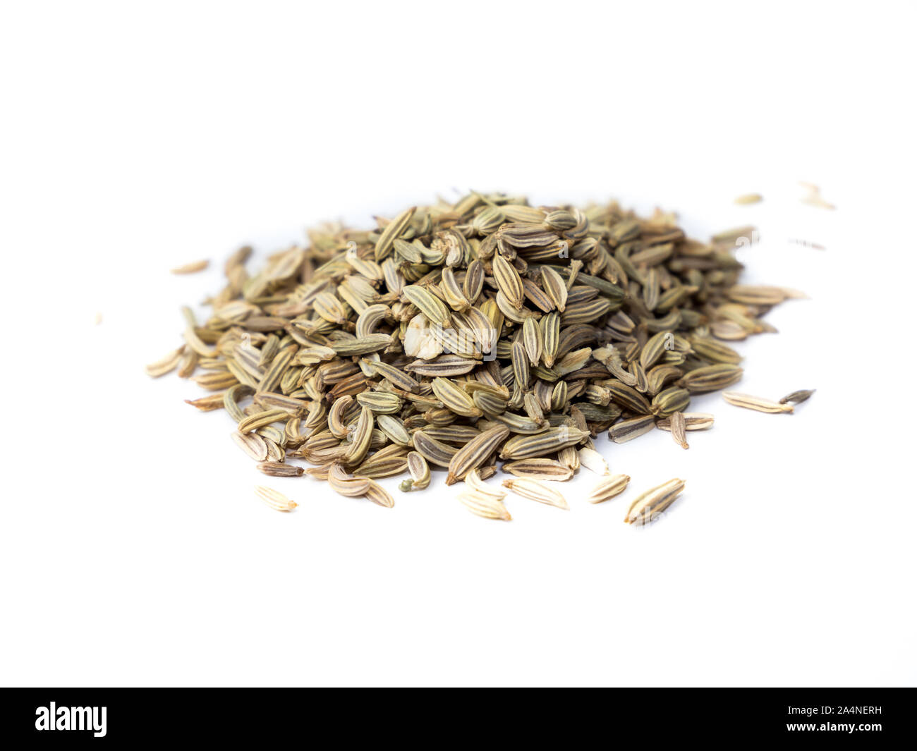 dried Fennel isolated Stock Photo Alamy