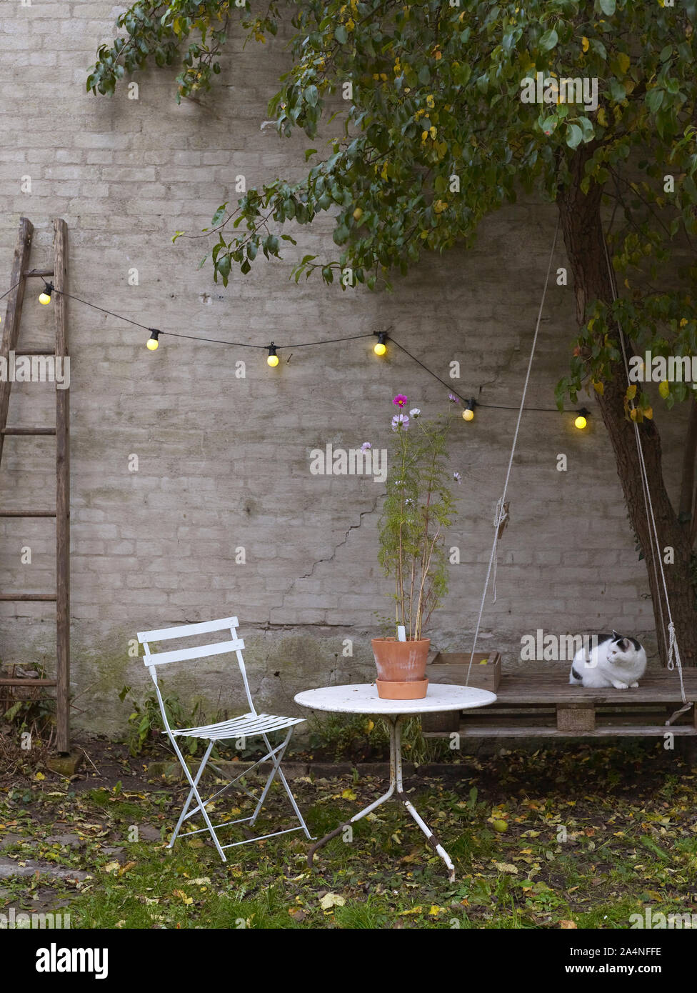 Table in garden Stock Photo Alamy