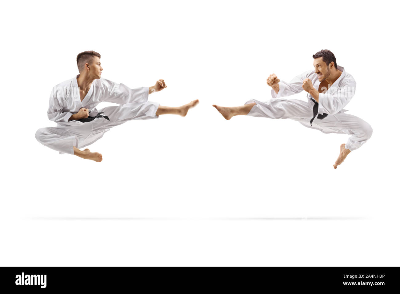 Karate Jump Kick