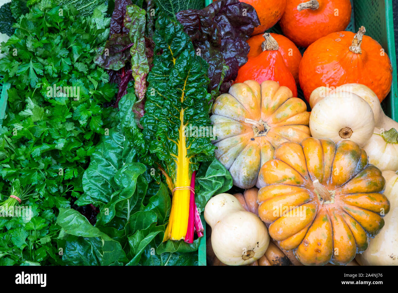 Vegetables, various vegetables, market stall, smooth parsley, chard, pumpkin, Stock Photo