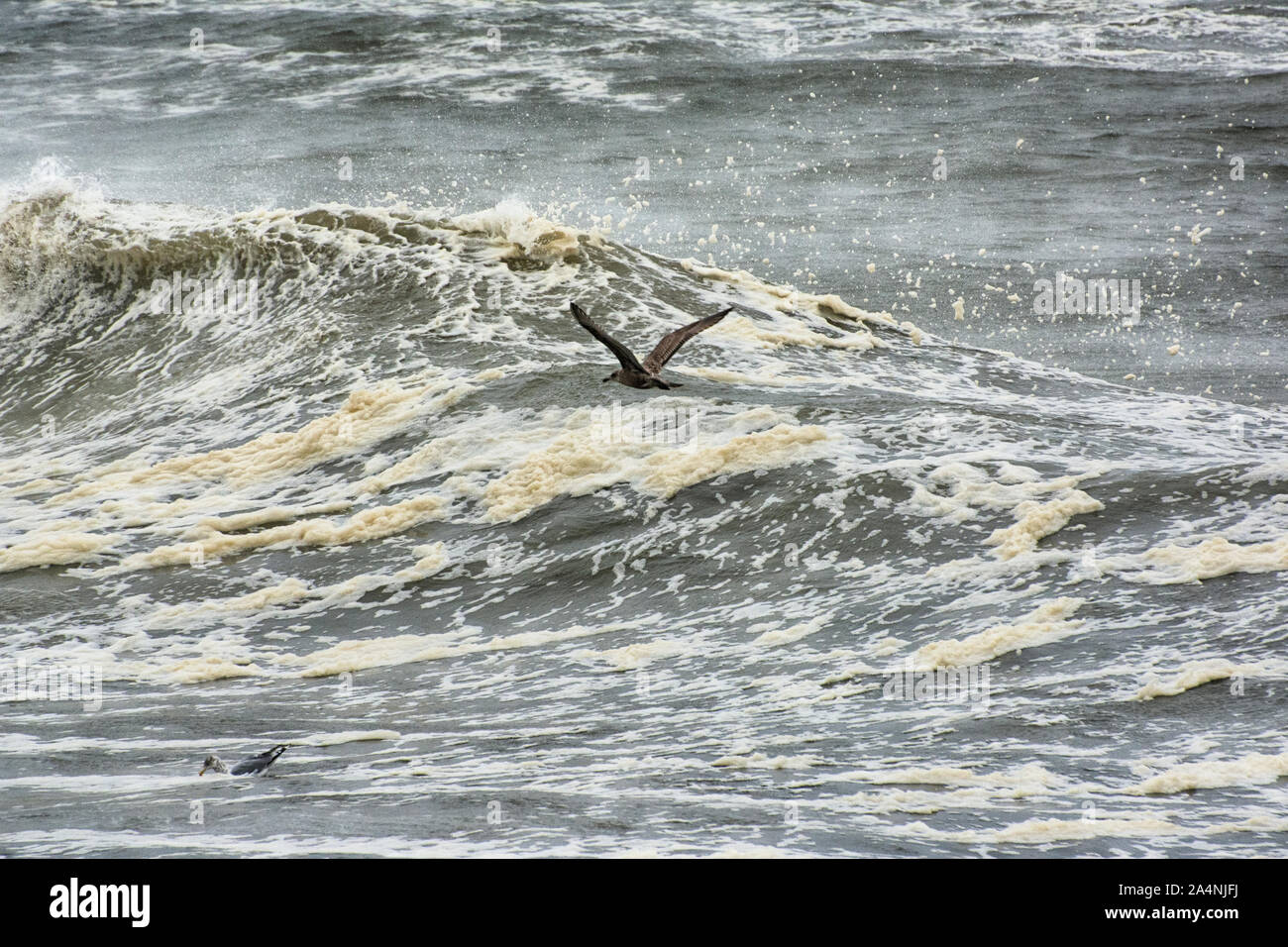 Stormy waves are exciting to watch and every crest of a wave is different. Stock Photo