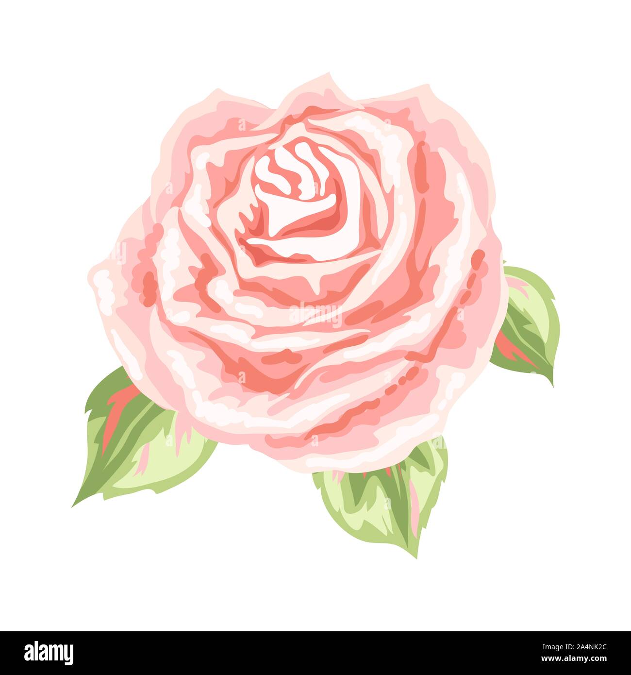 Decorative pink rose Stock Vector Image & Art - Alamy
