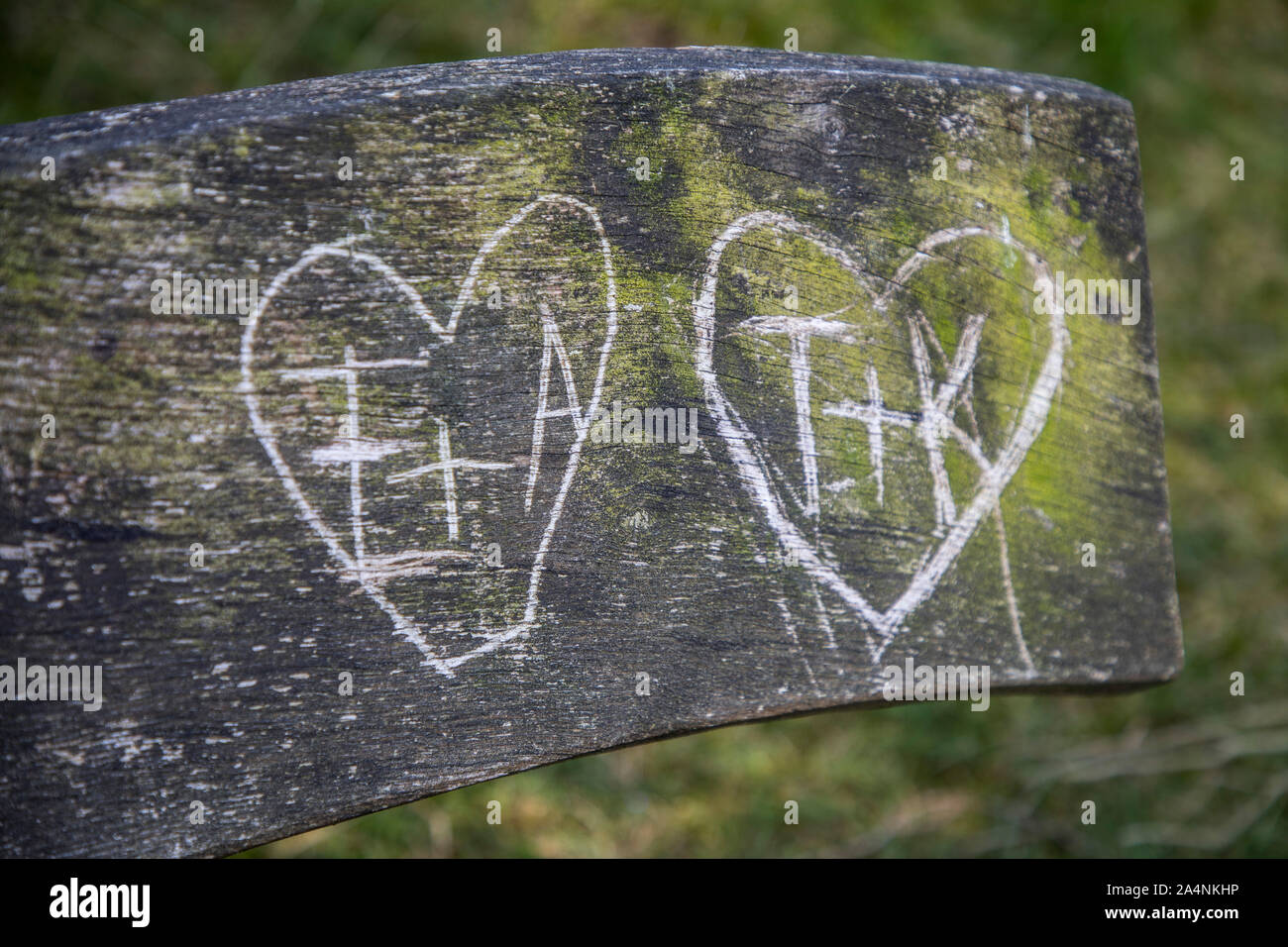 Old, weathered bench in a forest, carved hearts with initials, proof of love, Stock Photo