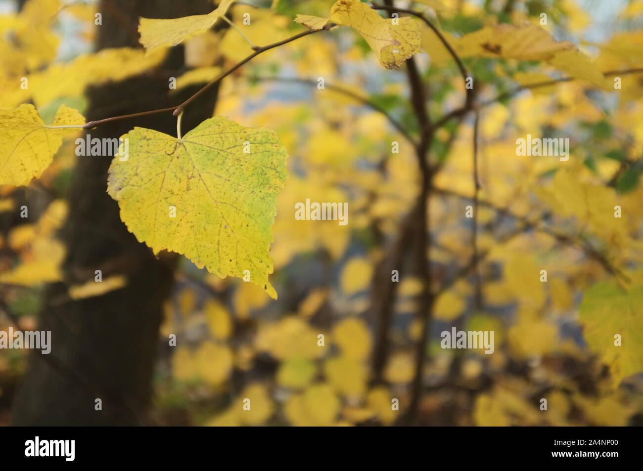 Print colors hi-res stock photography and images - Alamy