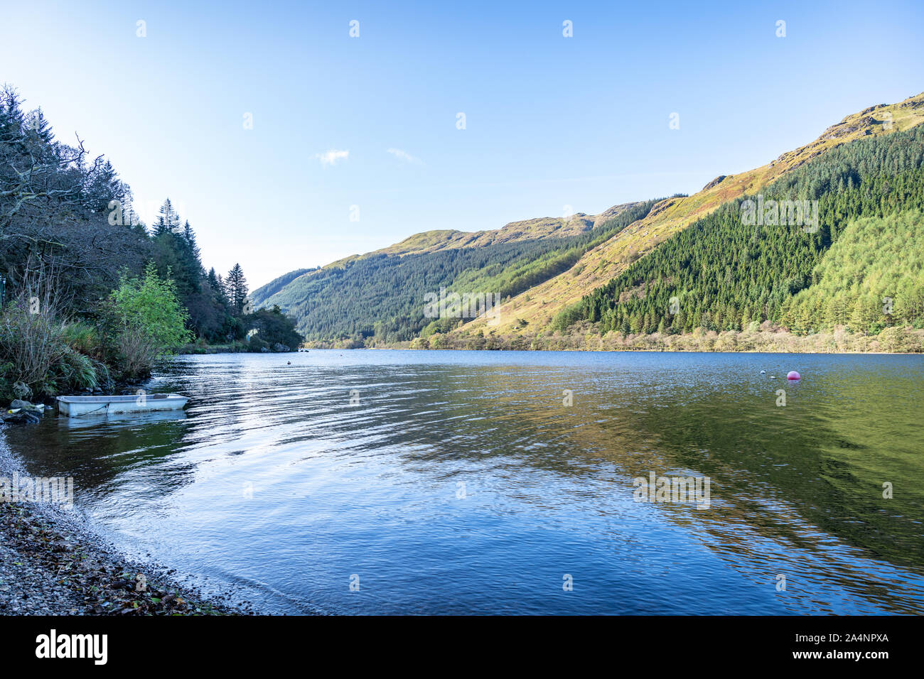 Loch Eck, Argyll and Bute, Scotland Stock Photo Alamy