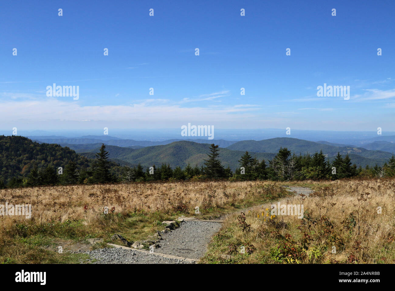 Scenic view from the top of Roan Mountain Tennessee, United States