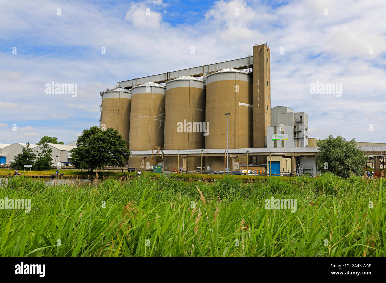 British Sugar's factory at Cantley, Norfolk, England, UK Stock Photo
