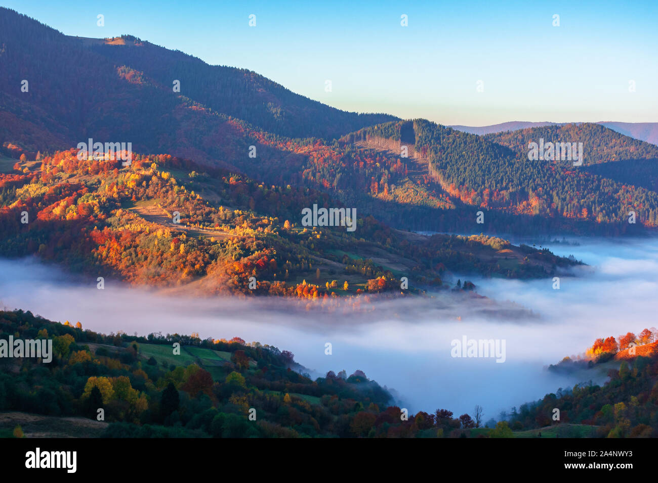 Beautiful Autumn Landscape With Valley Fog Wonderful Nature Scenery At
