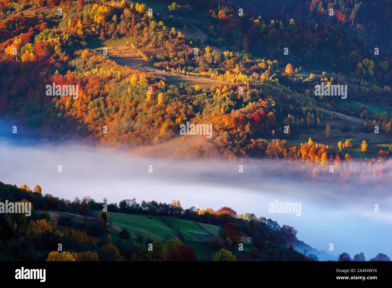 beautiful autumn landscape with valley fog. wonderful nature scenery at ...