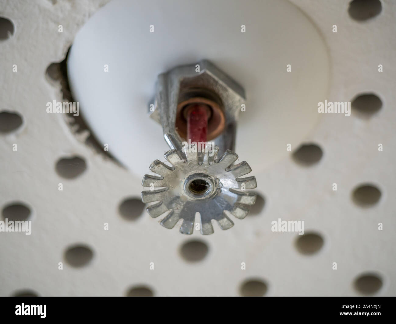 sprinkler system in the house Stock Photo Alamy