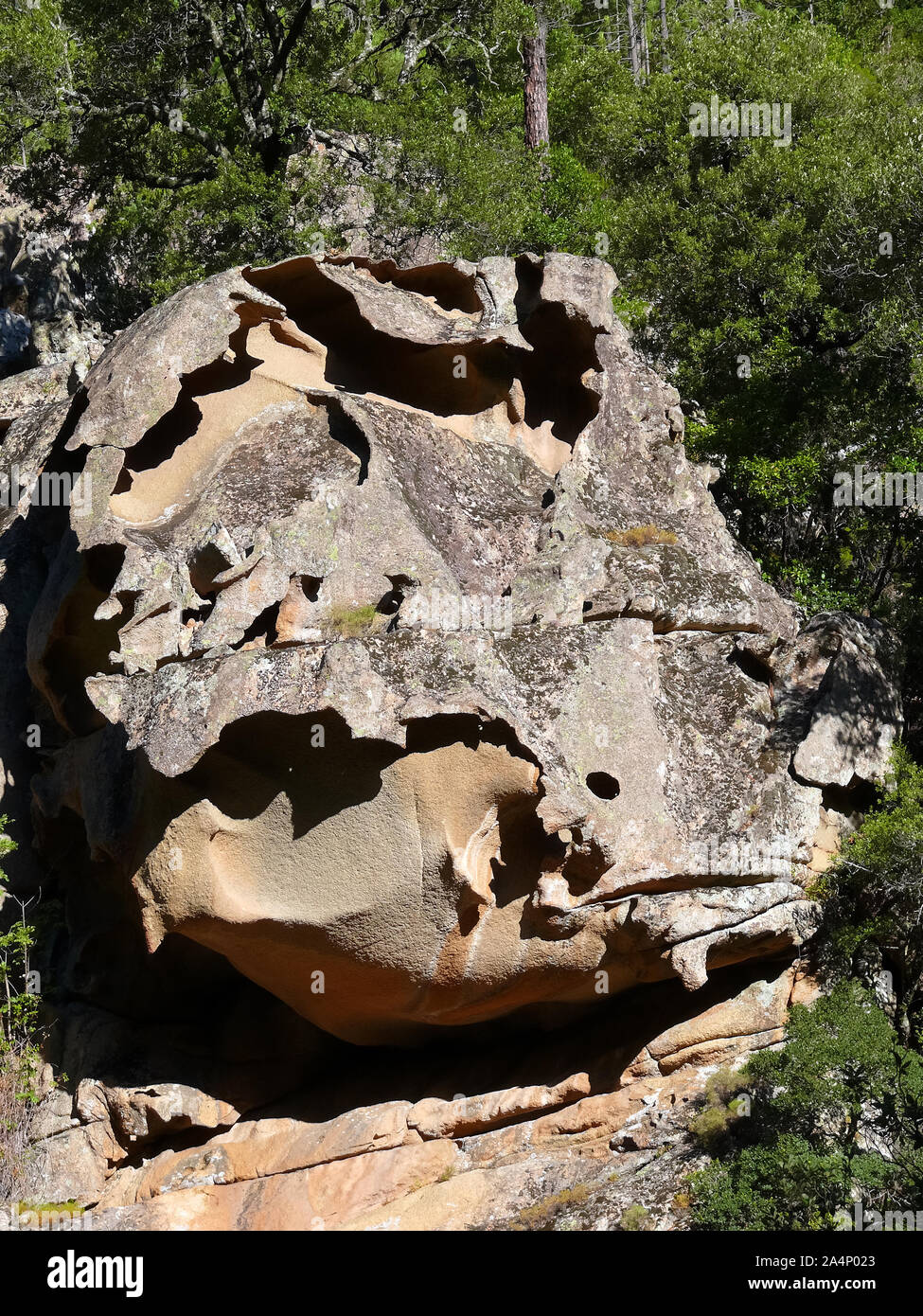 rocks, Corsica, France, Europe Stock Photo - Alamy