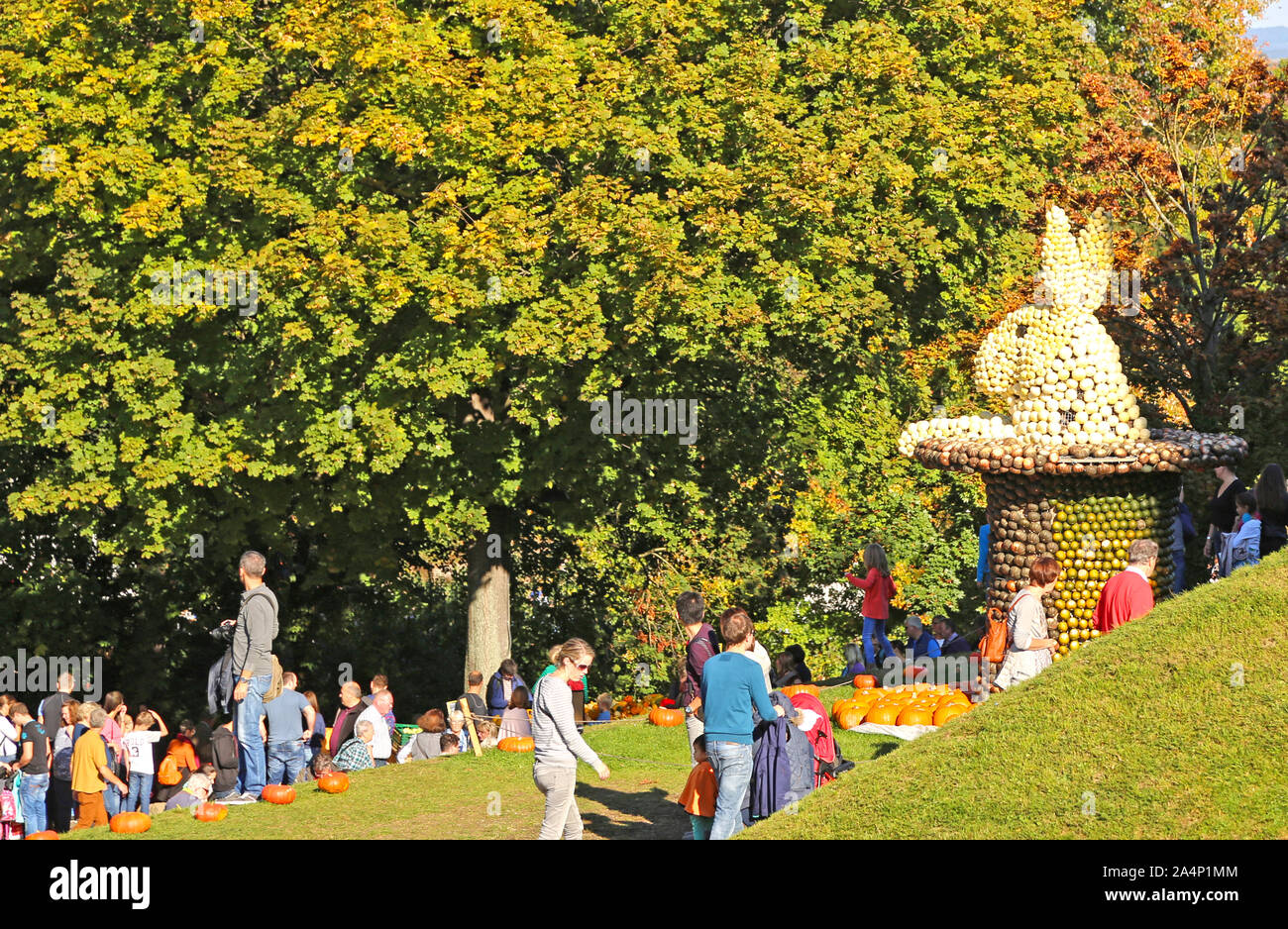 Ludwigsburg, GermanyOctober 16, 2016 The world’s largest pumpkin