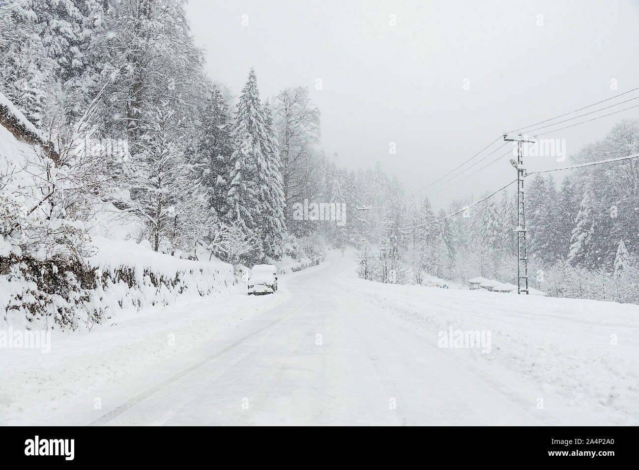 Snowy road among pine trees in winter with an SUV parked Stock Photo ...