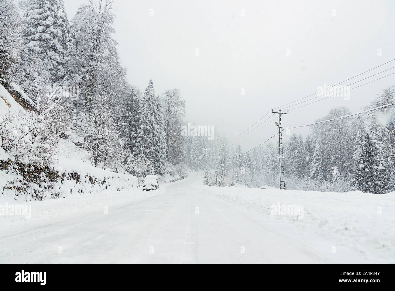 Snowy road among pine trees in winter with an SUV parked Stock Photo ...