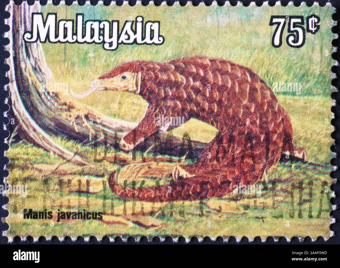 Pangolin on postage stamp of Malaysia Stock Photo