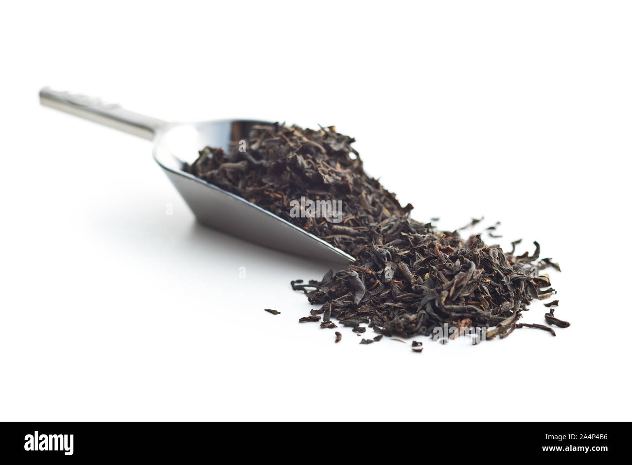 Dried black tea leaves in scoop isolated on white background Stock