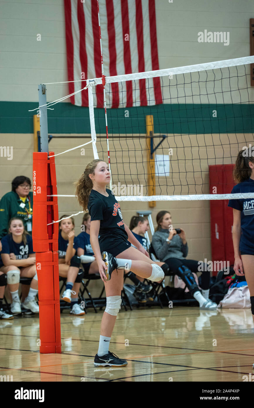 Middle school girl playing volleyball hires stock photography and