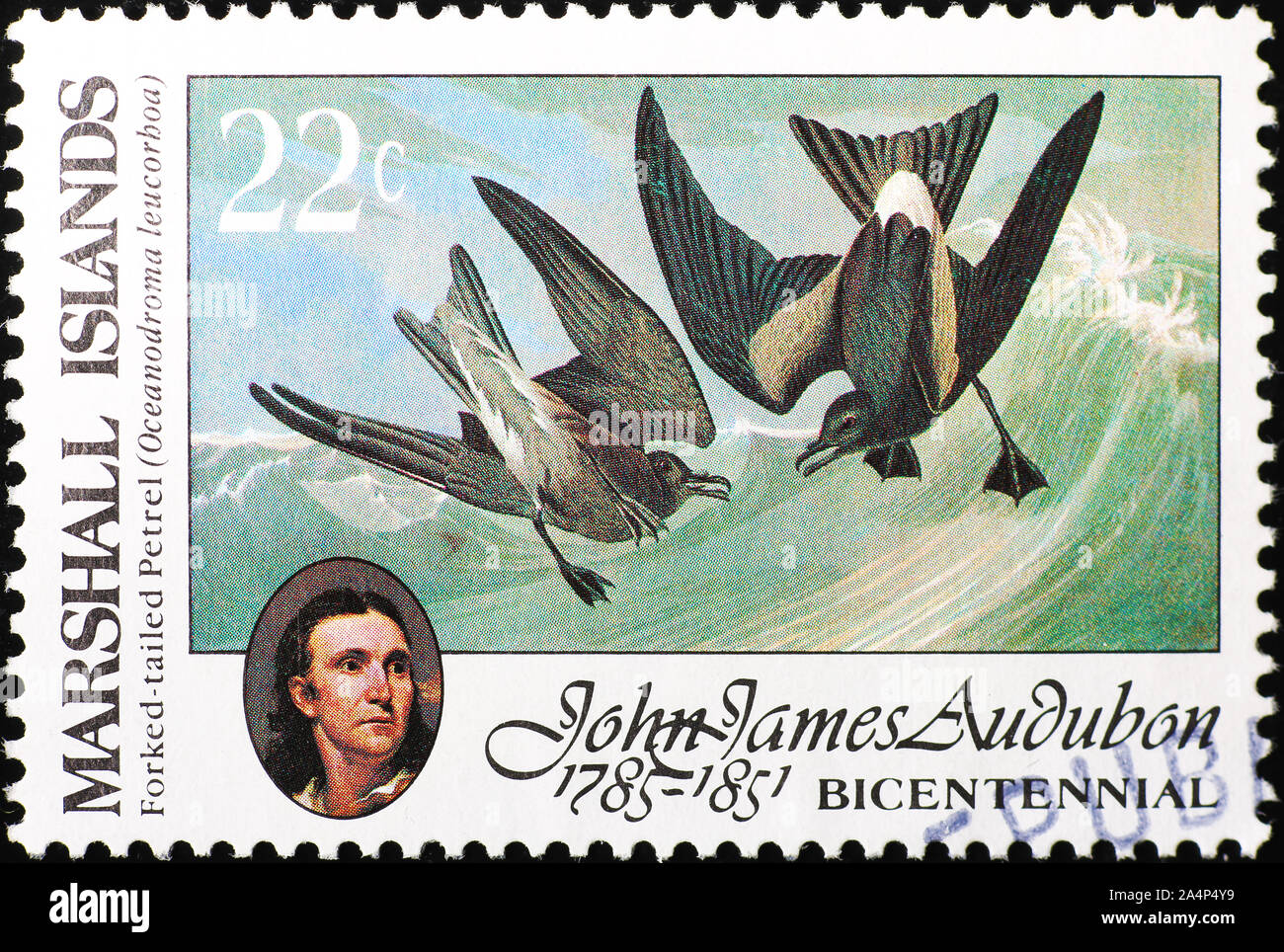 Marine birds painted by Audubon on postage stamp Stock Photo