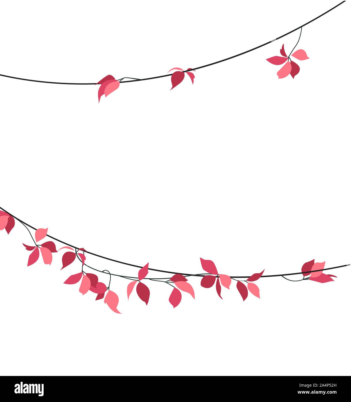 Frame branches with leaves Stock Vector Image & Art - Alamy