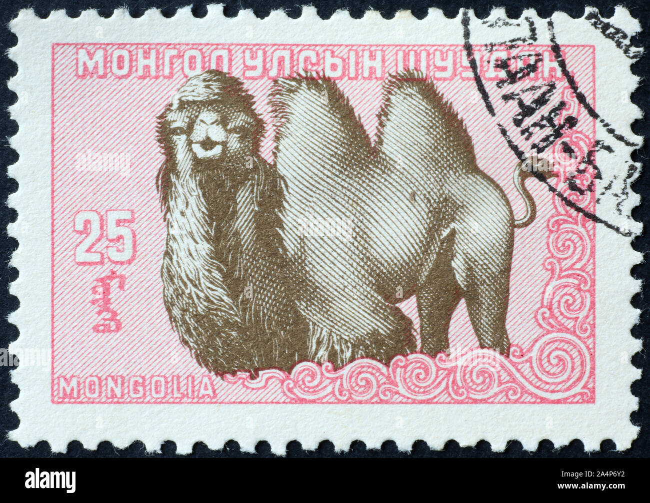 Mongolia Camel Stamp Hi-res Stock Photography And Images - Alamy